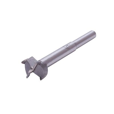 Utoolmart 20 mm Carbide-Tipped Forstner Wood Drill Bit, 80 mm, Gray