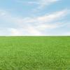 Steffensmeier Stirling Artificial Turf, 24 mm, 1,038 g/m², UV-Resistant, Smart Collection | Green, 300 x 600 cm view 2