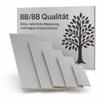 AUPROTEC 50 x 40 cm Birch Plywood Panel | Gray | 18 mm view 1
