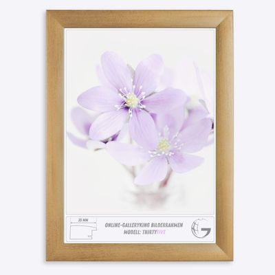 Online-GalleryKing OGK Thirtyfive Picture Frame 50 x 69 cm, Gold-Washed MDF Frame, Anti-Reflective Acrylic Glass, HDF Backing