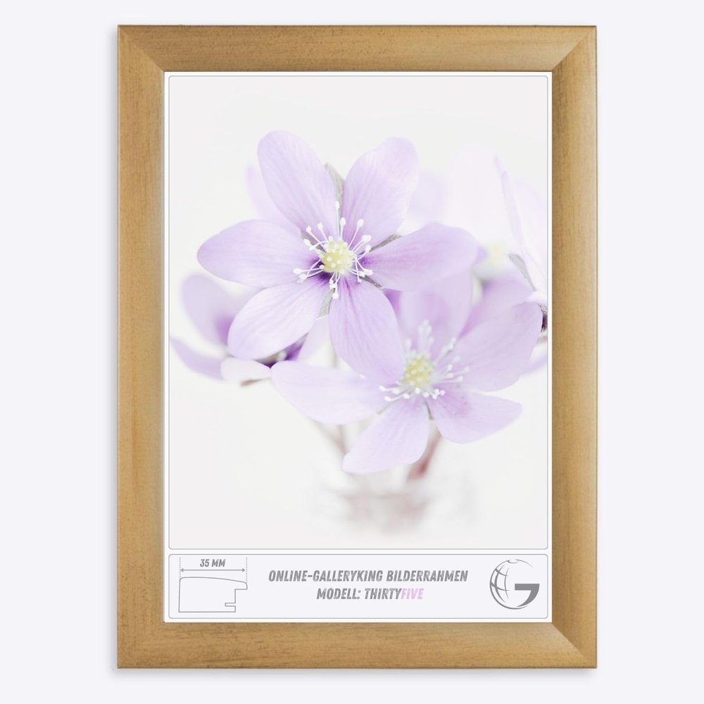 Online-GalleryKing OGK Thirtyfive Picture Frame 50 x 69 cm, Gold-Washed MDF Frame, Anti-Reflective Acrylic Glass, HDF Backing