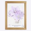 Online-GalleryKing OGK Thirtyfive Picture Frame 50 x 69 cm, Gold-Washed MDF Frame, Anti-Reflective Acrylic Glass, HDF Backing view 1