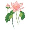 Sizzix Thinlits Dies, 16 Pieces, Layered Water Flower by Lisa Jones, Multicolor view 1