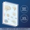 Palace Learning Nervous System & Brain Anatomy Poster, 2-Pack, Laminated, 18 x 24 in view 3