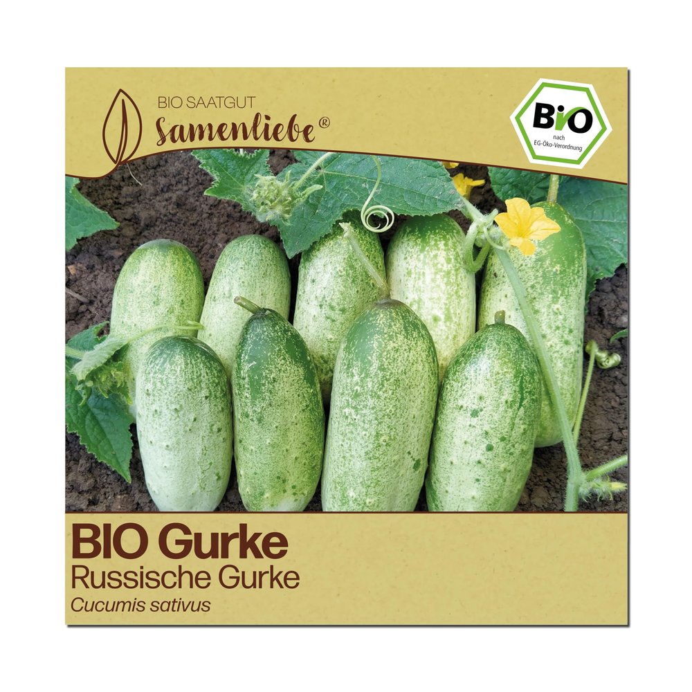Samenliebe Organic Russian Cucumber Seeds – Hardy, Small, Open-Pollinated