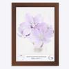 Online-GalleryKing OGK THIRTYFIVE Picture Frame 20 x 60 cm, Wenge view 1
