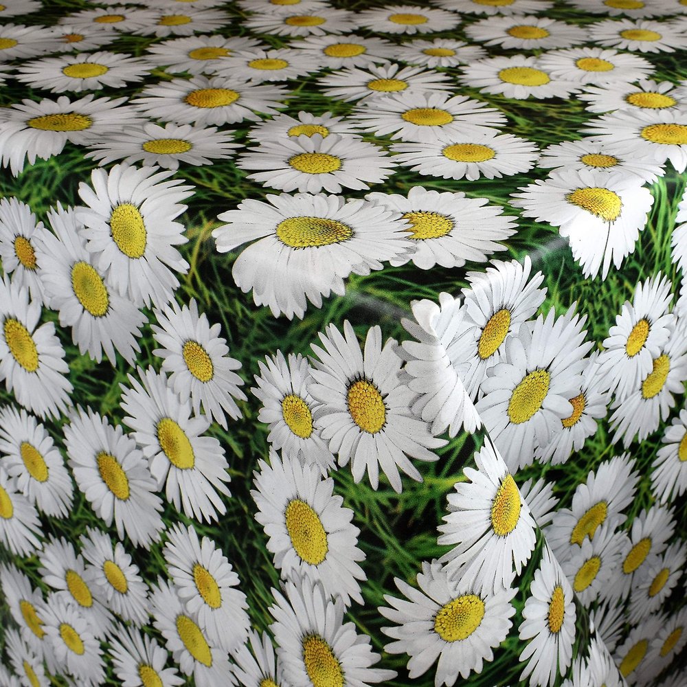 KEVKUS Oilcloth Tablecloth by the Meter C140702 Daisies on a Meadow, Selectable Rectangular, Round, or Oval (Edge: Trim [Crocheted Border], 140 x 200 cm Rectangular)