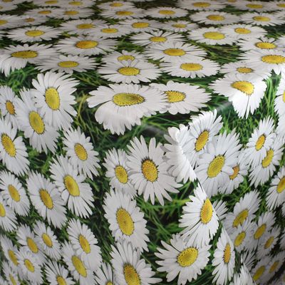 KEVKUS Oilcloth Tablecloth C140702, Daisies on Meadow, Oval 130 x 170 cm