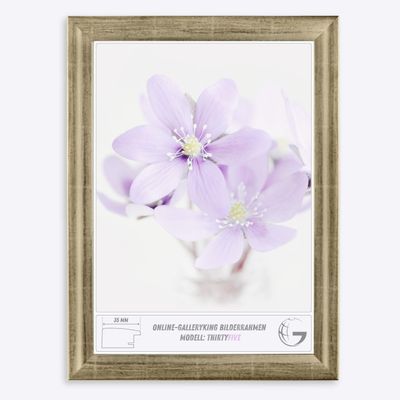 Online-GalleryKing OGK Thirtyfive Picture Frame 21 x 26 cm, Silver Leaf