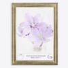 Online-GalleryKing OGK Thirtyfive Picture Frame 21 x 26 cm, Silver Leaf view 1