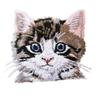 Patch Embroidery Badge Applications Iron-On Cartoon Patches Cute Animal Cat Print for Clothing Stickers view 1