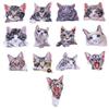 Patch Embroidery Badge Applications Iron-On Cartoon Patches Cute Animal Cat Print for Clothing Stickers view 2
