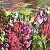 KEVKUS Oilcloth Tablecloth by the Meter W270, Cyclamen, Roses and Pansies, Selectable Rectangle, Round or Oval (Edge: Crocheted Trim, 90 cm Round) view 1