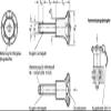 Stainless Steel Ball Lock Pin with Button, 16 mm, 35 mm Long view 2