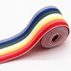 BBZ Rainbow Elastic Band, 4 cm Wide, 40 mm Sewing Elastic, 1 m view 2