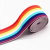 BBZ Rainbow Elastic Band, 4 cm Wide, 40 mm Sewing Elastic, 1 m view 4