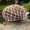 LITE-NET PP: Water-retaining fleece and permanent distribution net for plants, trees, and lawns (10.4 m) – LITE-SOIL featured on 2MIN2MIO view 3