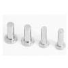 304 Stainless Steel Flat-Head Rivets, M5 x 20, 10 pcs. view 3