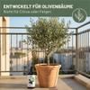 Green Home Love Nature Liquid Olive Tree Fertilizer, 1 Liter, with Dosing Pump view 2