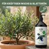 Green Home Love Nature Liquid Olive Tree Fertilizer, 1 Liter, with Dosing Pump view 3
