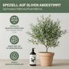 Green Home Love Nature Liquid Olive Tree Fertilizer, 1 Liter, with Dosing Pump view 4