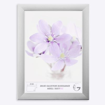 Online-GalleryKing OGK Thirtyfive Picture Frame 10 x 25 cm, White Spruce, Anti-Glare Acrylic Glazing