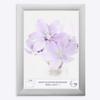 Online-GalleryKing OGK Thirtyfive Picture Frame 10 x 25 cm, White Spruce, Anti-Glare Acrylic Glazing view 1