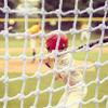Sports Safety Net, Baseball Batting Cage Net, Nylon, White, 6 mm, 10 cm, 4 × 1 m (13 × 3 ft) view 3