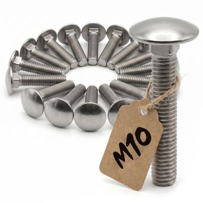 PROTECH 15-Piece M10x65 Carriage Bolt Set, DIN 603, A2 Stainless Steel