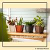 Groovebox 3X Steel Planter, 15 x 15.2 x 15.2 cm, Orange, with Saucer view 2