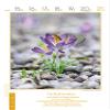 Literary Weekly Calendar Live and Enjoy 2021 – Korsch – Photo Calendar with Motivational Texts, 23.8 x 31.8 cm view 3