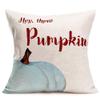 Fukeen St. Patrick’s Day Lucky Clover Pillow Cover, Green, 18 x 18 in, “Hey There Pumpkin” view 1