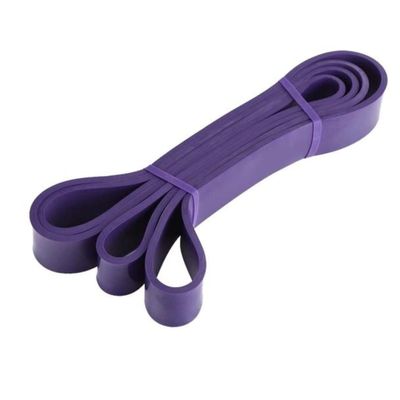 ACL Pull-Up Resistance Bands for Strength Training, Flexibility, Pull-Up Assistance, Exercise, Home Fitness, Powerlifting, CrossFit and Stretching, Purple