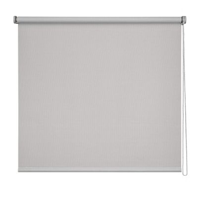 Easydeco Screen Roller Blind (Gray, 90 x 250 cm)