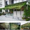 DLLY Jungle Camouflage Net, 5 x 5 m (16.4 x 16.4 ft) view 2