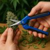 Weedness Grow Harvest Set, 2-Piece Set with Drying Net and Garden Shears view 3