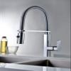 Toulouse Pull-Down Kitchen Faucet GCE008 view 2