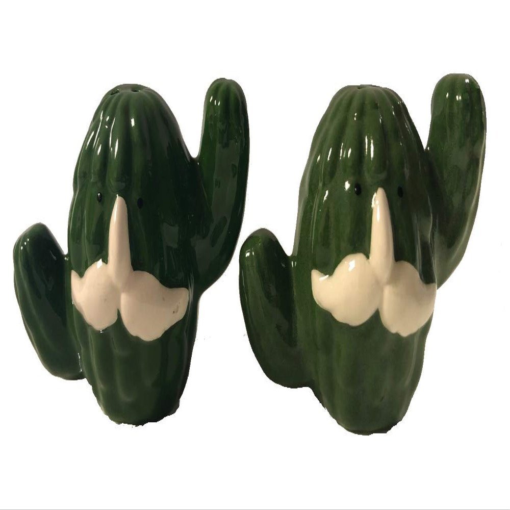 Cactus Ceramic Salt and Pepper Shakers