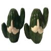Cactus Ceramic Salt and Pepper Shakers view 1