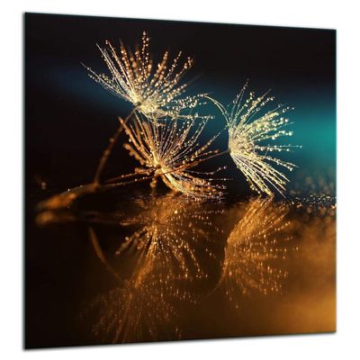 TMK | Tempered Glass Kitchen Backsplash Splash Guard 60 x 65 cm, Flowers