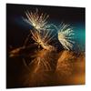 TMK | Tempered Glass Kitchen Backsplash Splash Guard 60 x 65 cm, Flowers view 1