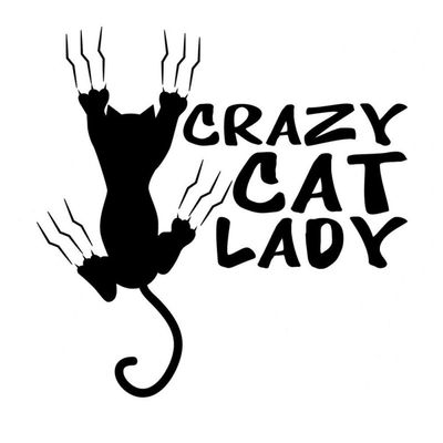 SUIFENG 14 x 14 cm Crazy Cat Lady Vinyl Sticker, Black/Silver