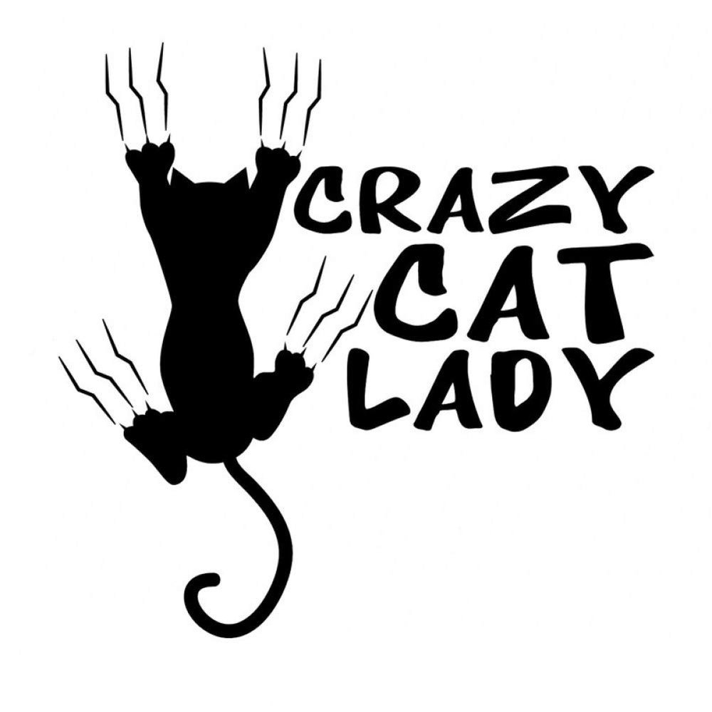 SUIFENG 14 x 14 cm Crazy Cat Lady Vinyl Sticker, Black/Silver