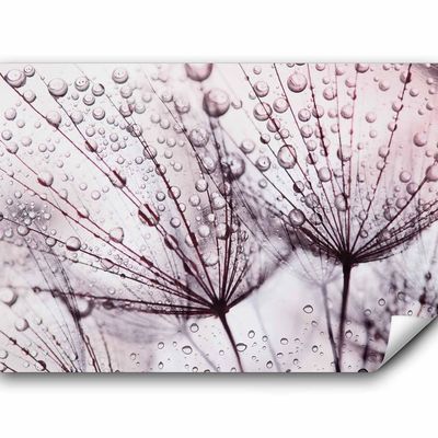 murando Self-Adhesive Photo Wallpaper, Dandelion, 147 x 105 cm, Bedroom