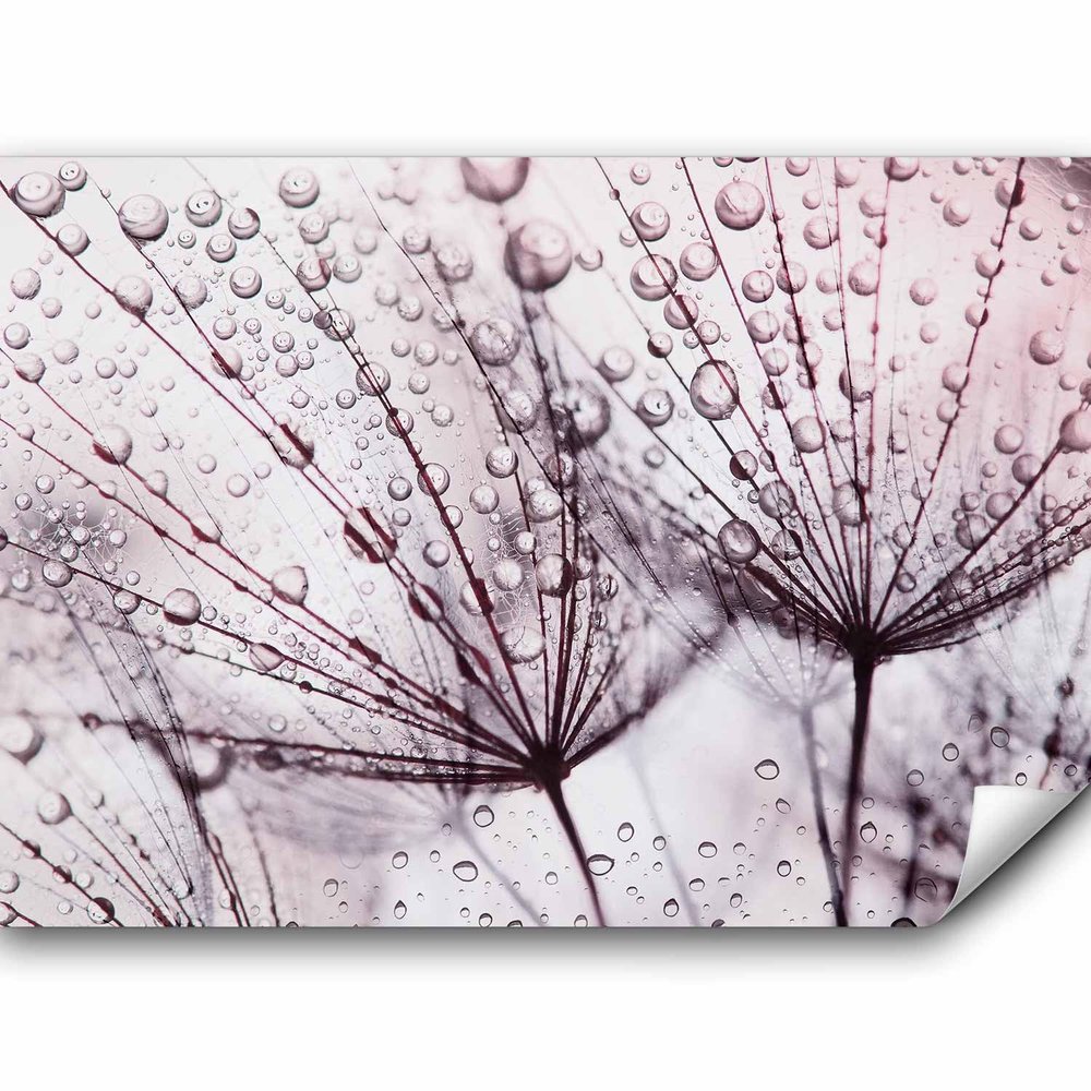 murando Self-Adhesive Photo Wallpaper, Dandelion, 147 x 105 cm, Bedroom