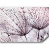 murando Self-Adhesive Photo Wallpaper, Dandelion, 147 x 105 cm, Bedroom view 1