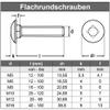 AGBERG M8 x 100 mm A2 Stainless Steel Carriage Bolts, Fully Threaded, Square Neck, 50-Pack view 2