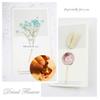 craspire Christmas Wax Seal Stamp, Pine Cone Branch with Bell, 25 mm, Removable Brass Head, Wooden Handle view 4