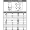 M18 Hex Nuts, 25-Pack – Stainless Steel A2/V2A, DIN 934/ISO 4032 | AGBERG view 2