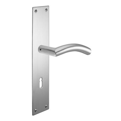 ck-Türbeschläge Renovation Set, Long Backplate Q, V2A Brushed Stainless Steel, 250 × 55 × 2 mm, Shine, BB